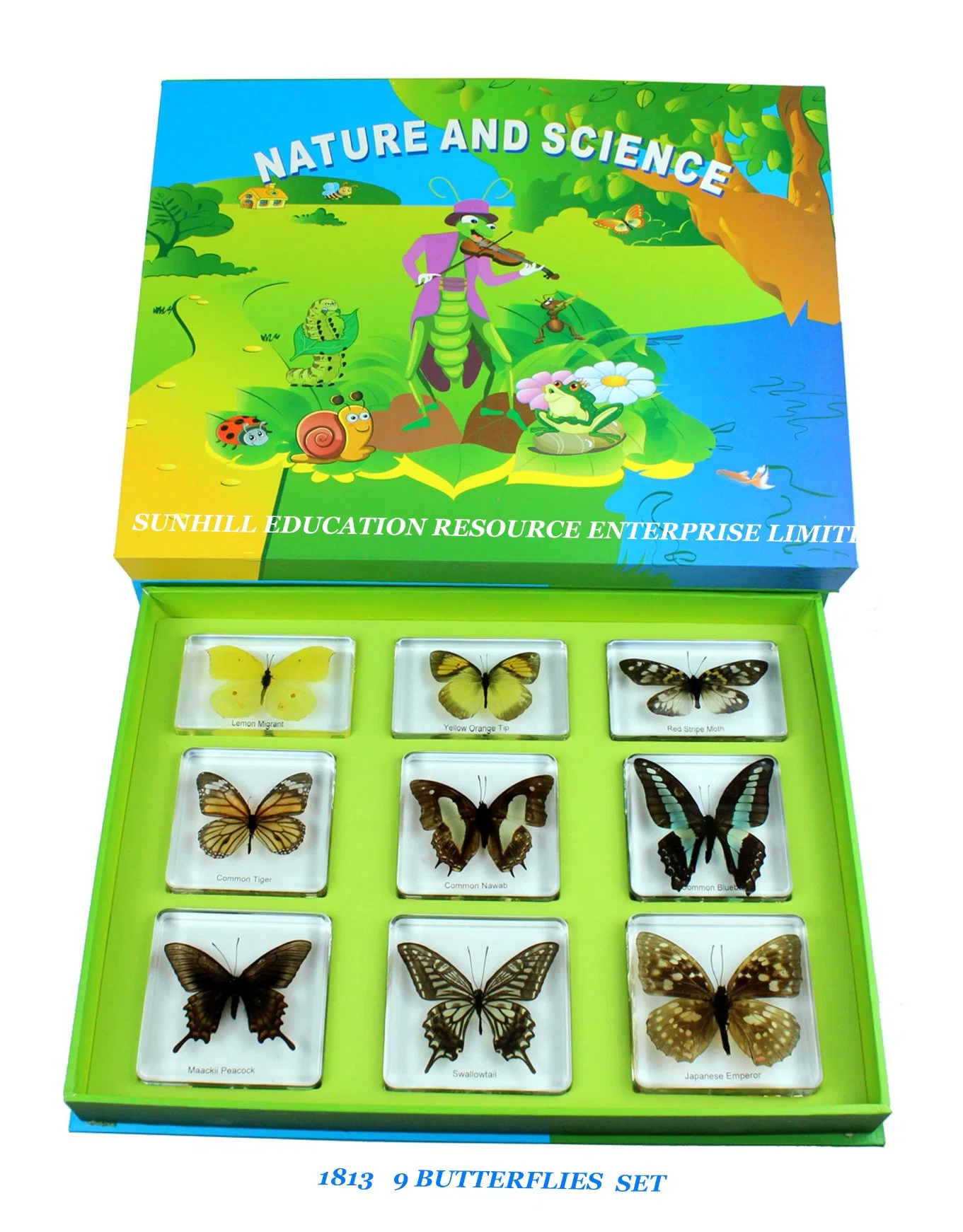 Children Toy, Nursery School Educational Science Learning Toy, Kids Classroom Teaching Specimen for Kindergarten and Preschool--Butterfly Set