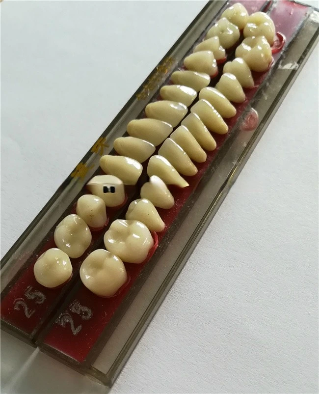 Dental Supply Porcelain Teeth Denture Teeth Acrylic Resin Tooth