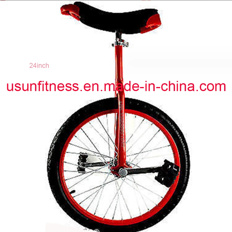 Dom Selfbalance bicicletas de aluguer de bicicletas com fábrica preço grossista