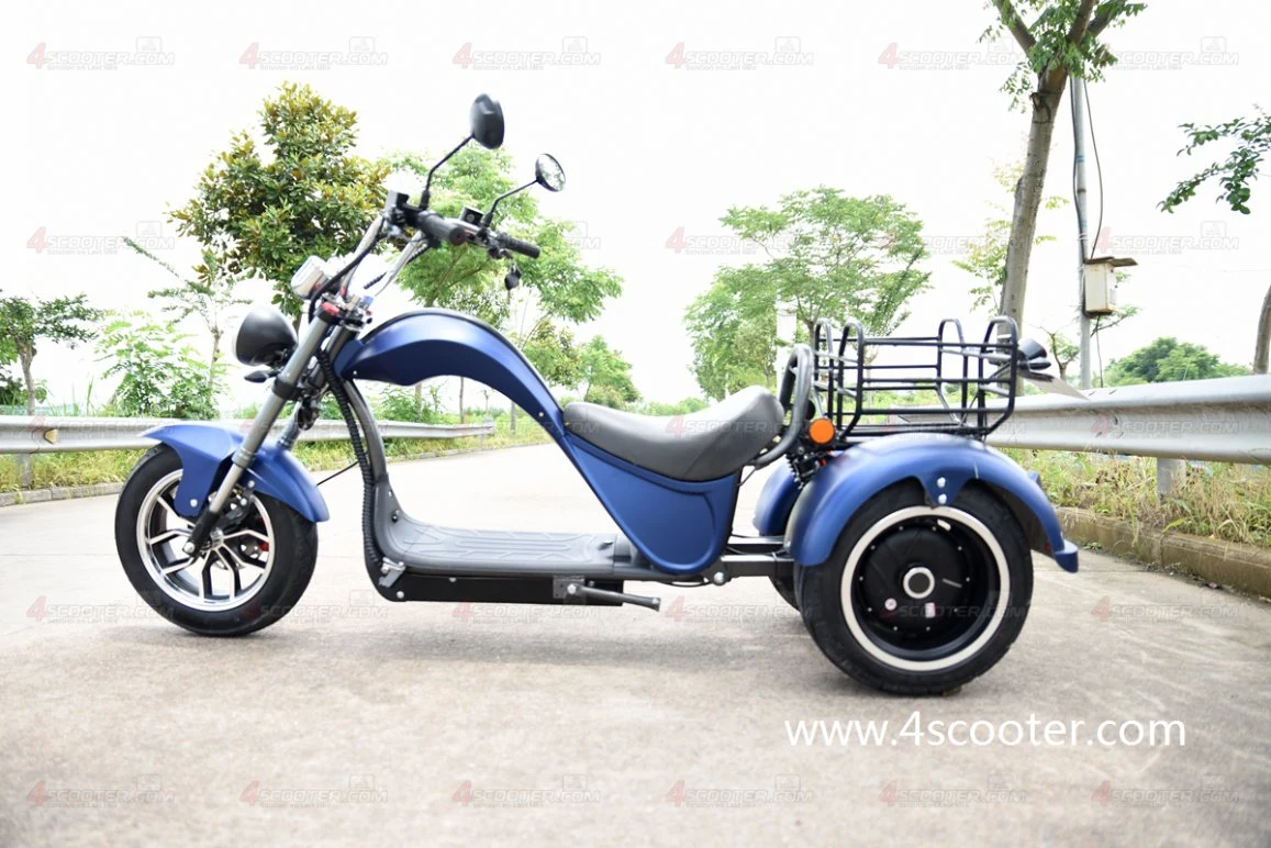 EU Warehouse Wuxing Factory Road Legal EEC Coc Electric Scooter Three Wheel Motorcycle 3200W 80km/H on OEM