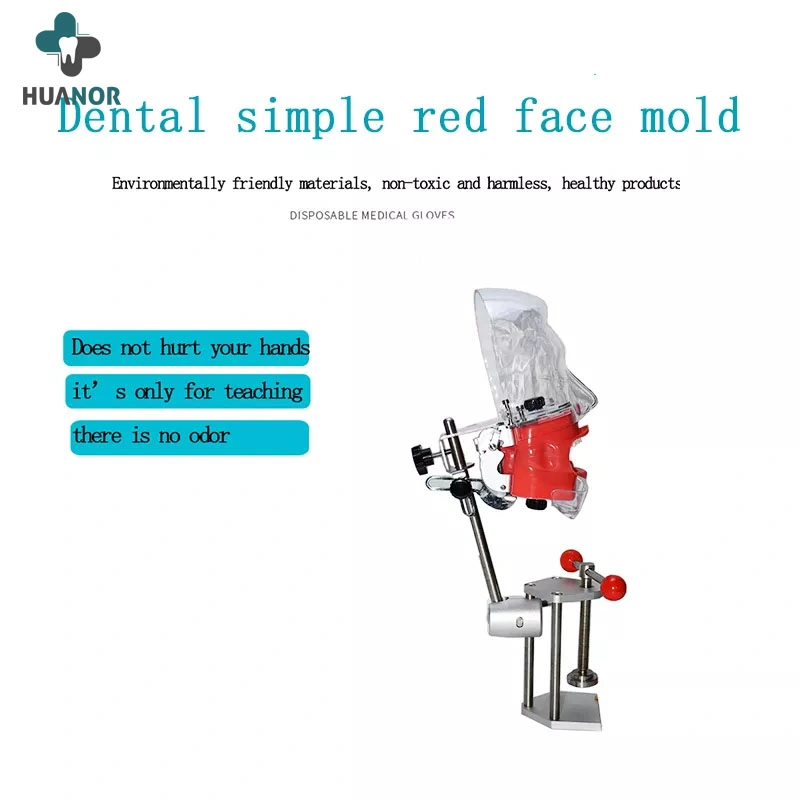 Dental Simulator Nissin Manikin Phantom Head Dental Phantom Head Model with New Style Bench Mount for Dentist Education