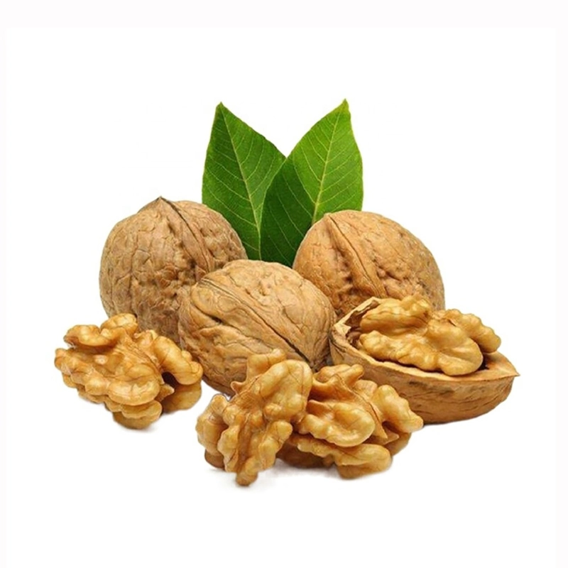 Wholesale/Supplier Good Price Pumpkin /Walnut / Sunflower /Watermelon Seeds and Kernel (halal food)