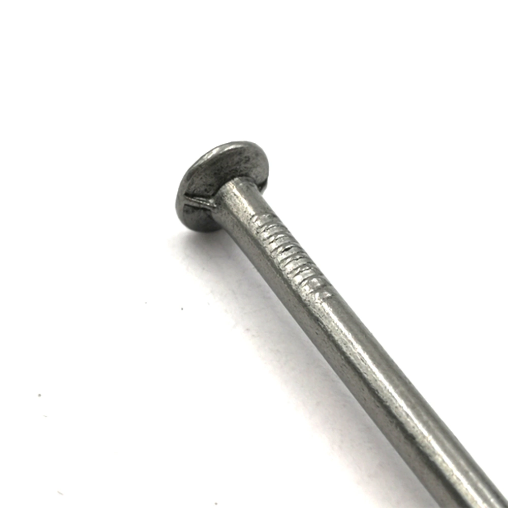 Polished Common Iron Nail