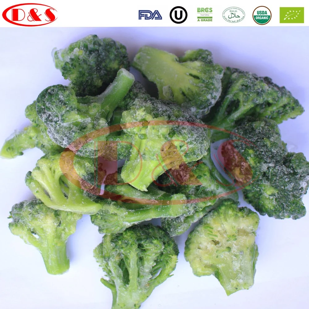 Bulk IQF Vegetables for Frozen Broccoli