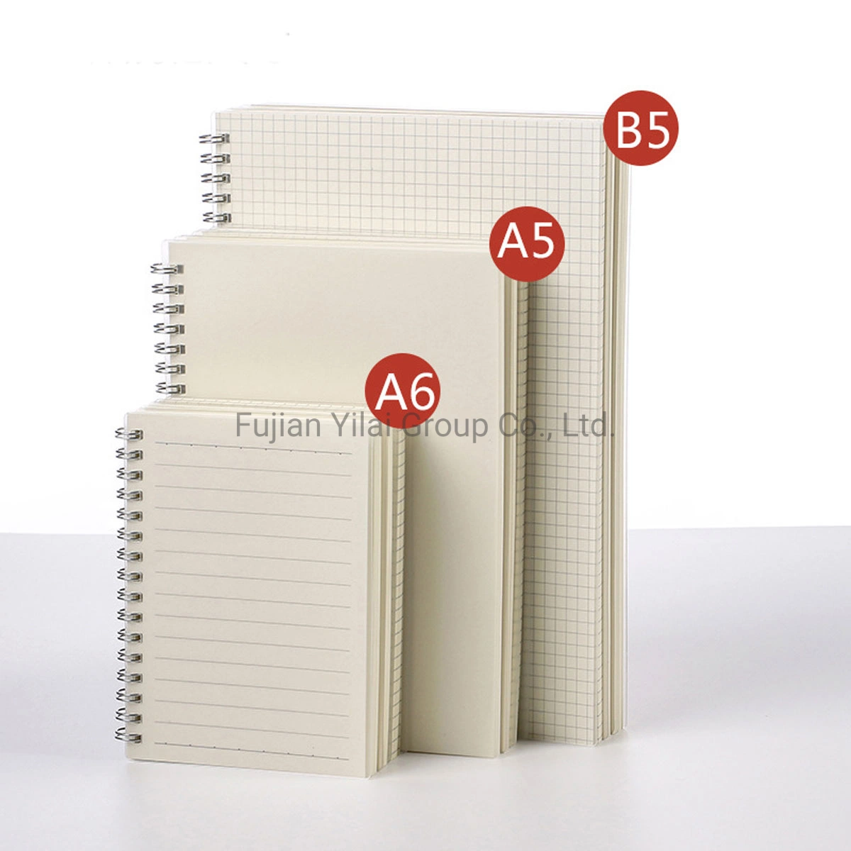 Plastic Cover Grid Lined Inner Pages Spiral Notebook with Transparent Cover Planners and Notebooks