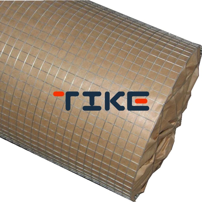 1 Inch Galvanized PVC Coated Welded Wire Mesh Roll