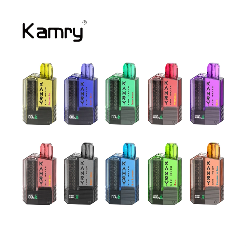 Kamry Smart Box Pod Disposable/Chargeable Vape Pen Super 600puff vape