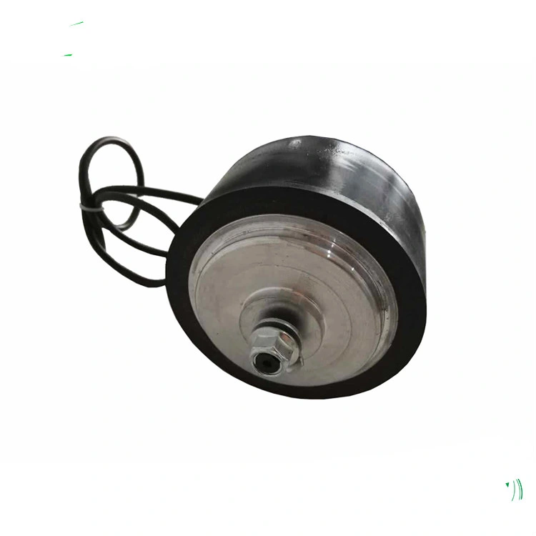 5 Inch Low Speed with Planetary Gear Inside Hub Motor Wheel