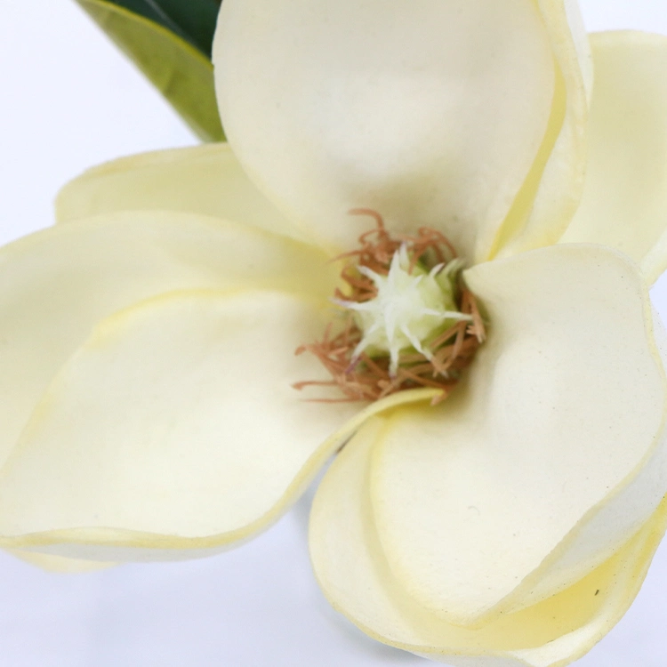 High quality/High cost performance  Home Decoration Artificial Foam Magnolia Flowers with Glass Vase