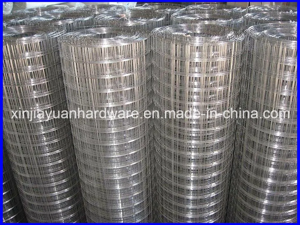 Hot DIP Galvanized /PVC Coated Welded Wire Mesh