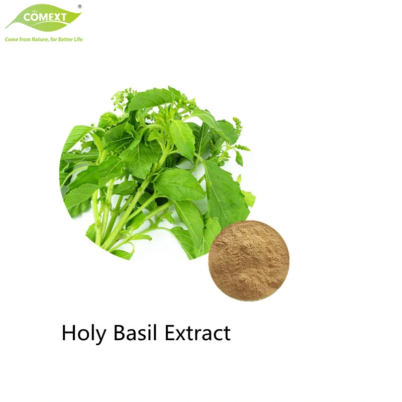 Comext Factory 100% Natural Holy Basil Root Extract 4: 1; 10: 1; 20: 1 10% Tannins for Medicine Use
