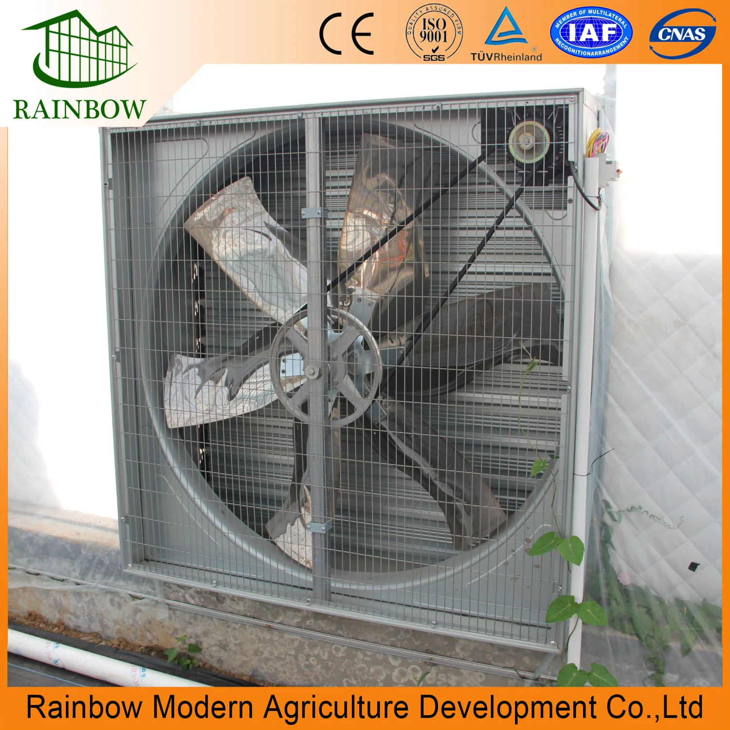 Poultry Farm Equipment Ventilation Industrial Exhaust Fan