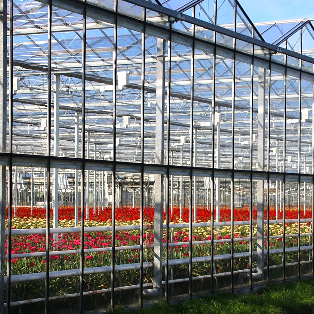 Venlo Hollow Double Tempered Film Glass Eco Restaurante estufa com Sistema de cultivo de hidroponia para legumes/flores/tomate