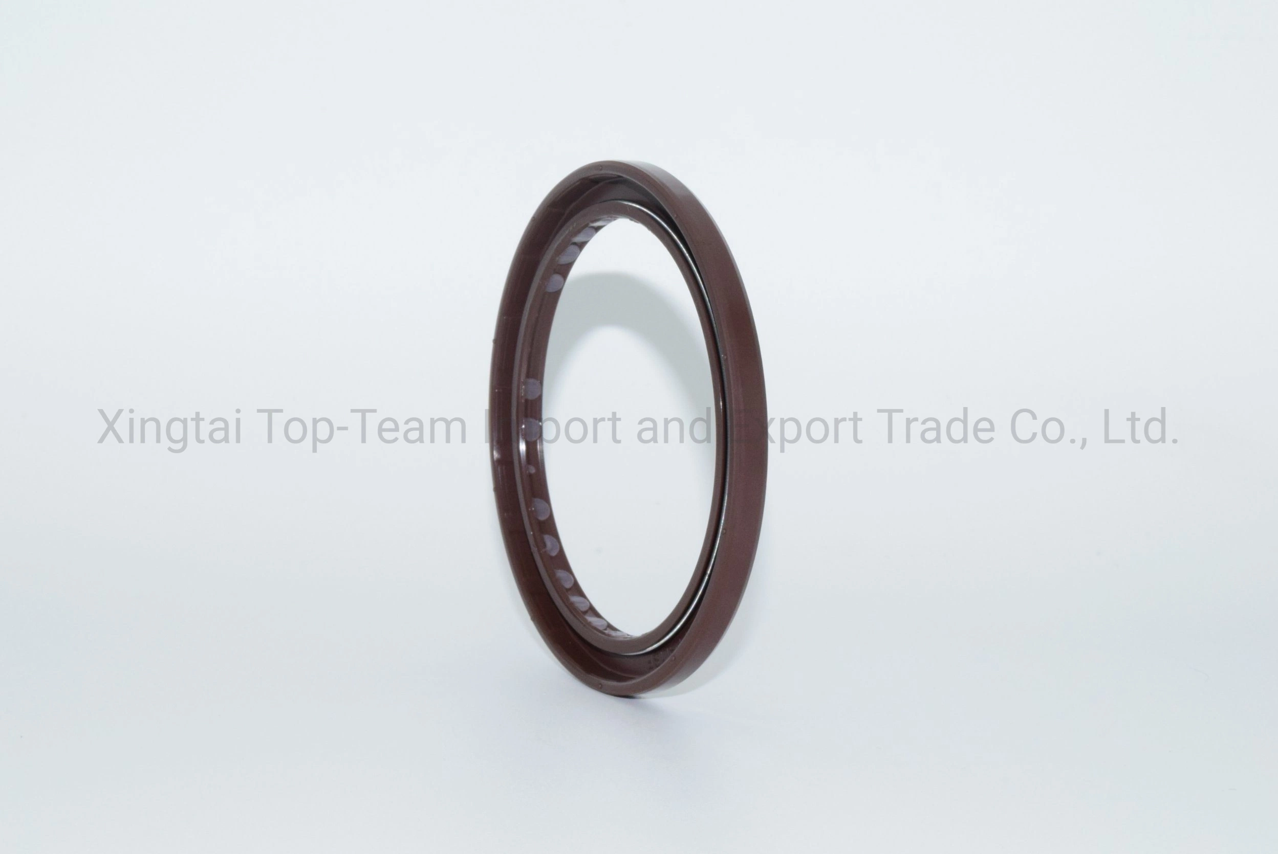 Dmhui Security Seals with FKM Material Bafsl1sf Type for A4vso355 Pump Rubber Oil Seals