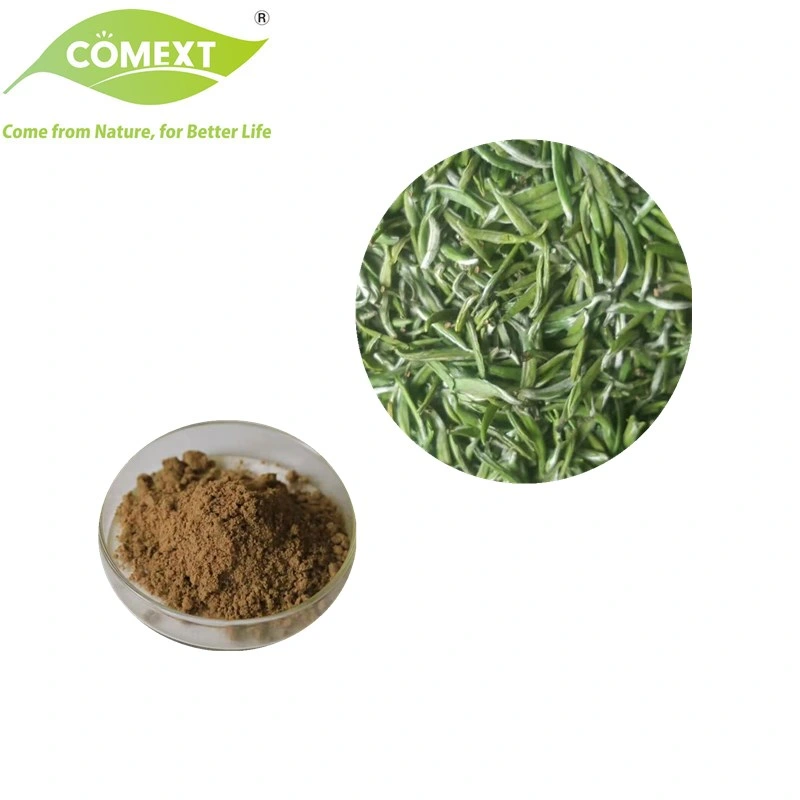 Comext High quality/High cost performance  Gholesale Price 45% EGCG 75% Catechin Green مسحوق الشاي المستخرج من الشاي لمادة التغذية