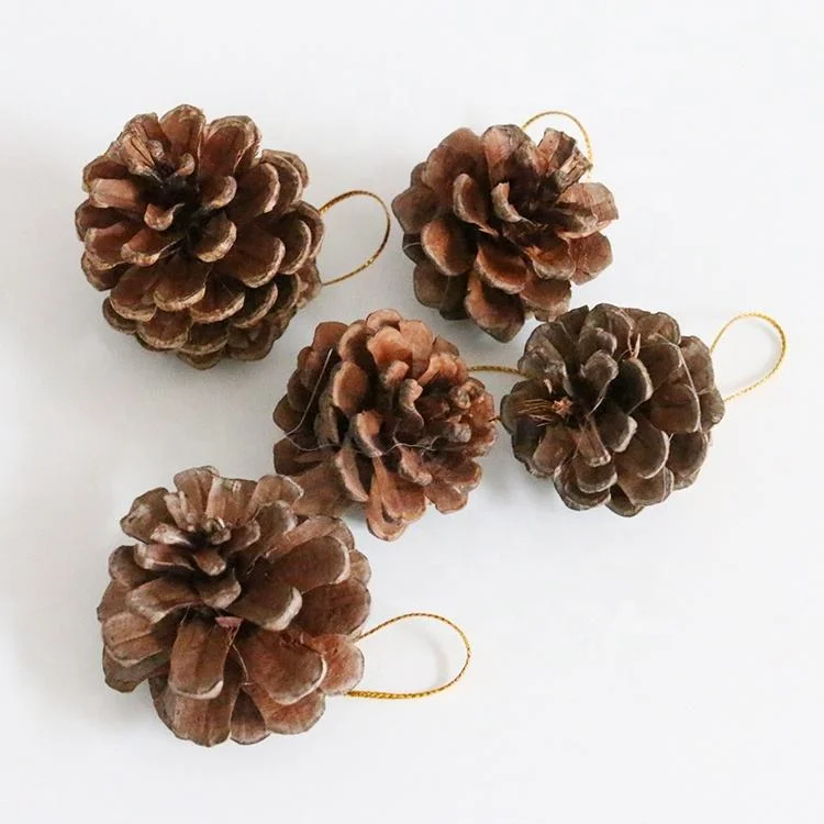 ويرسم الطلاء الصناعي معلقة على شجرة عيد الميلاد الديكور Pine Cone