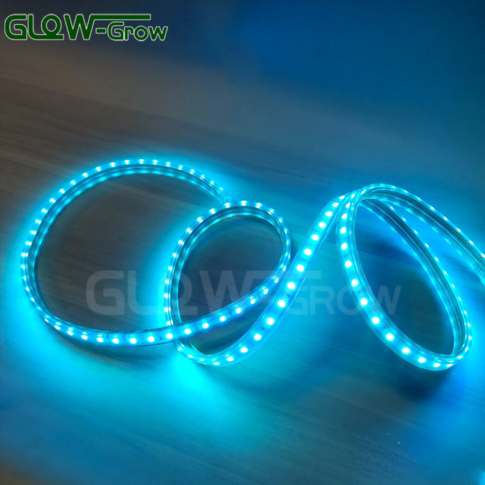 IP65 Flexible Farbe ändern Hochspannungs PVC Seil Licht RGB LED-Streifenleuchte mit IC-Design