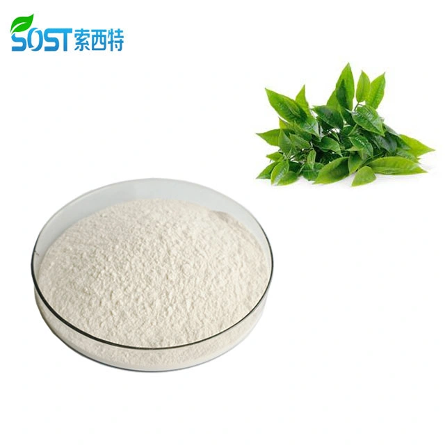 Xi`an SOST EU Organic Green Tea Extract Epicatechin Gallate Powder