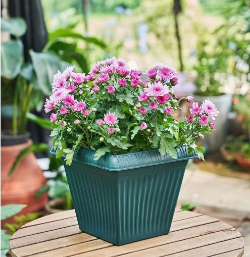 Wholesale/Suppliers Price Planter Flower Pots Plastic Vase Garden Decoration Desktop Balcony Green Plants