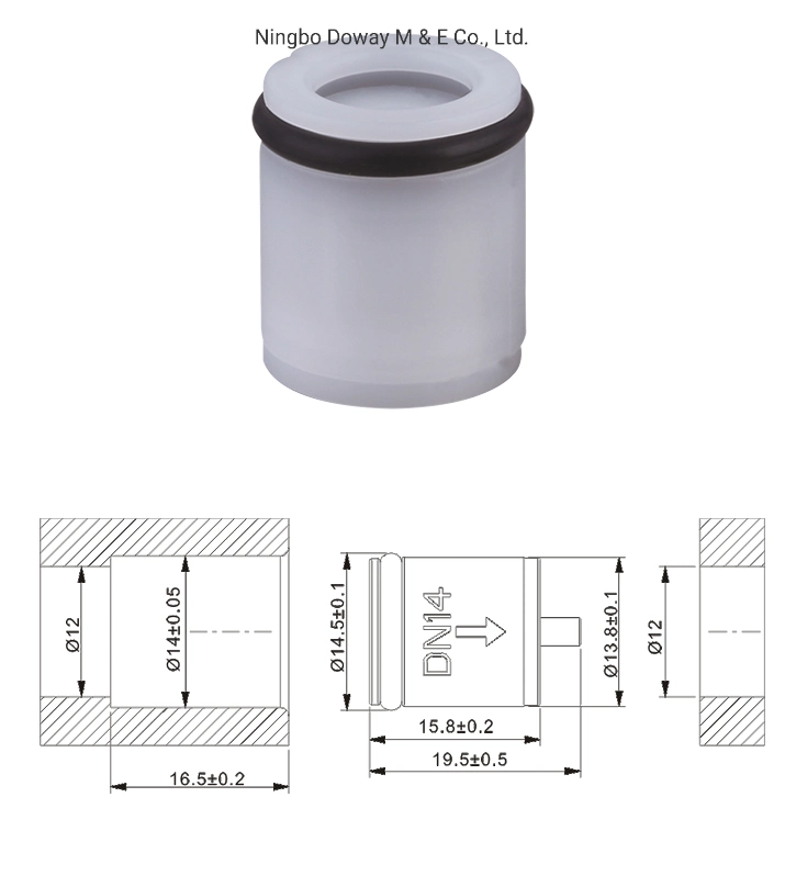 DN16 POM Spring Cartridge Check Valve