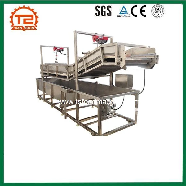 Bubble Ozone Conveyor Washing Machine High Pressure Washer Cocoa Bean Cleaning Machine