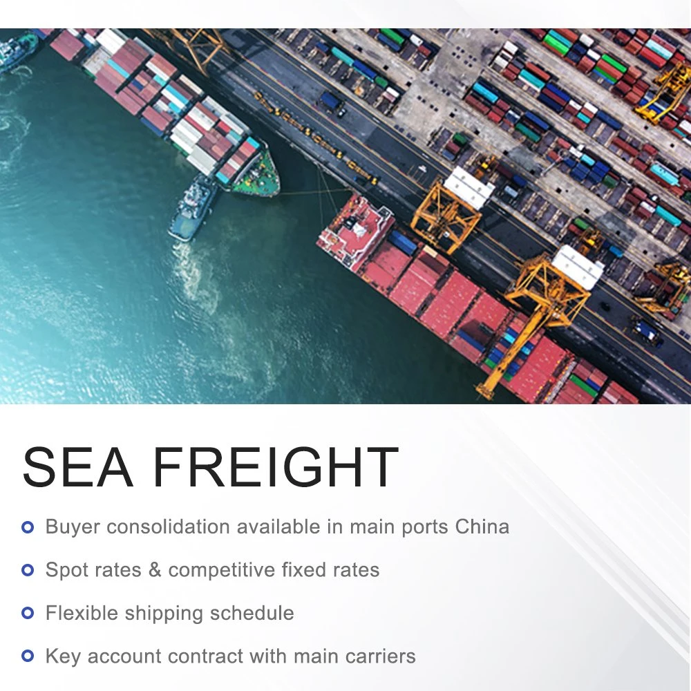 Shenzhen and Guangzhou Professional Ocean Freight Forwarding Service to Vancouver Montreal Toronto
