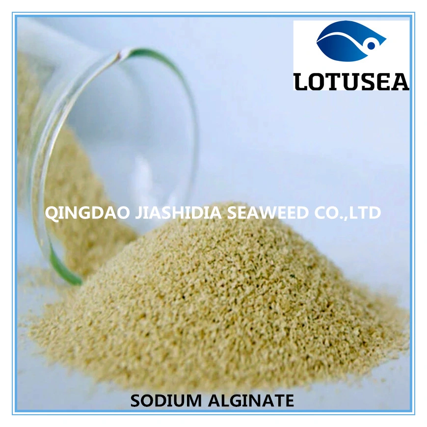 Lotusea Sodium Alginate 200mesh Textile Grade 1200cps