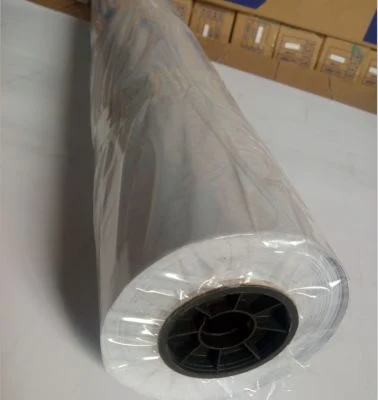 Blanc brillant autocollant vinyle transparent en PVC éco solvant rouleau Warp Inkjet Vinyle auto-adhésif