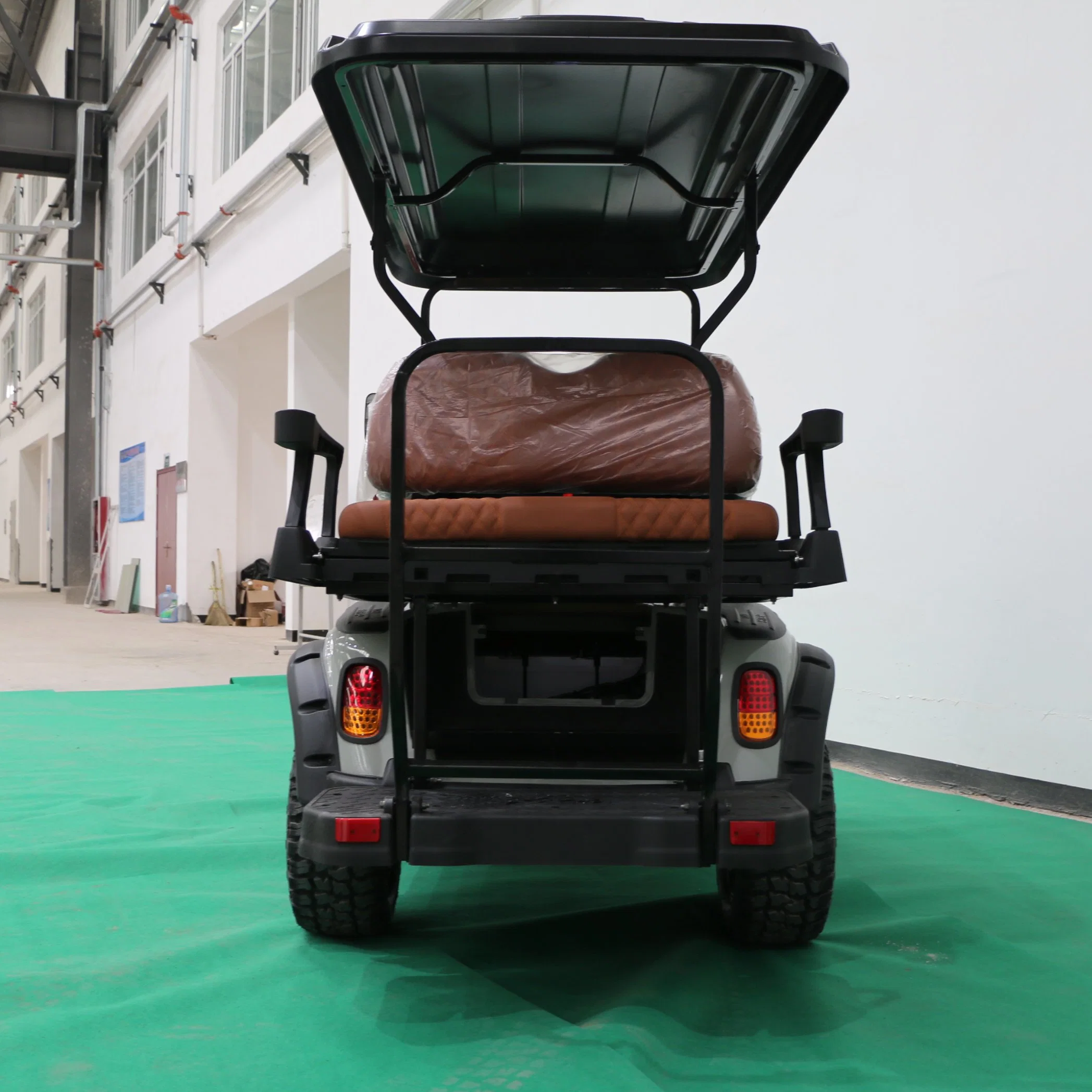 Electric Golf Cart with Entertainment Audio and Light Tape