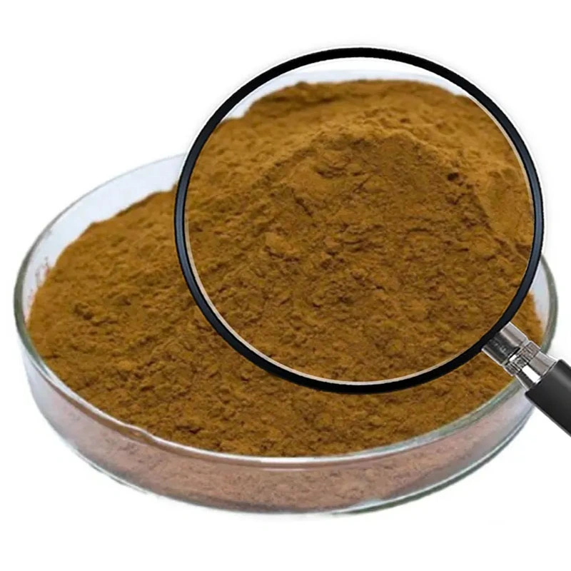 Wholesale/Supplier Factory Price Sparassis Crispa Extract Pure Sparassis Crispa Extract Powder