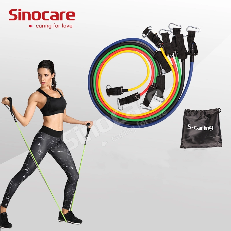 Sincoare High quality/High cost performance Gym Exercise Workout Fitness Kits 11PCS Latex Resistance Band Bands Set