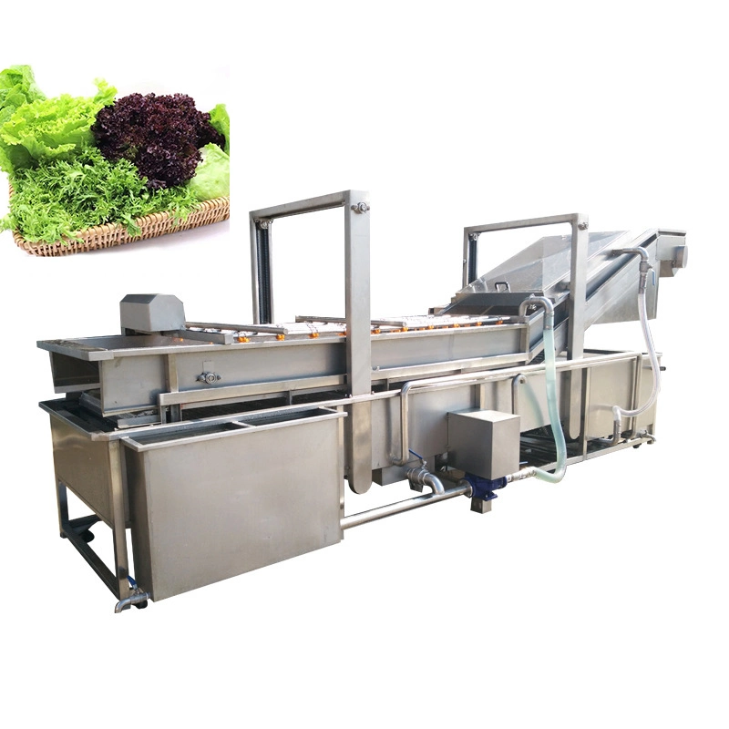 Industrial Air Bubble Vegetable Washer Bubble Vegetable Washer Machine