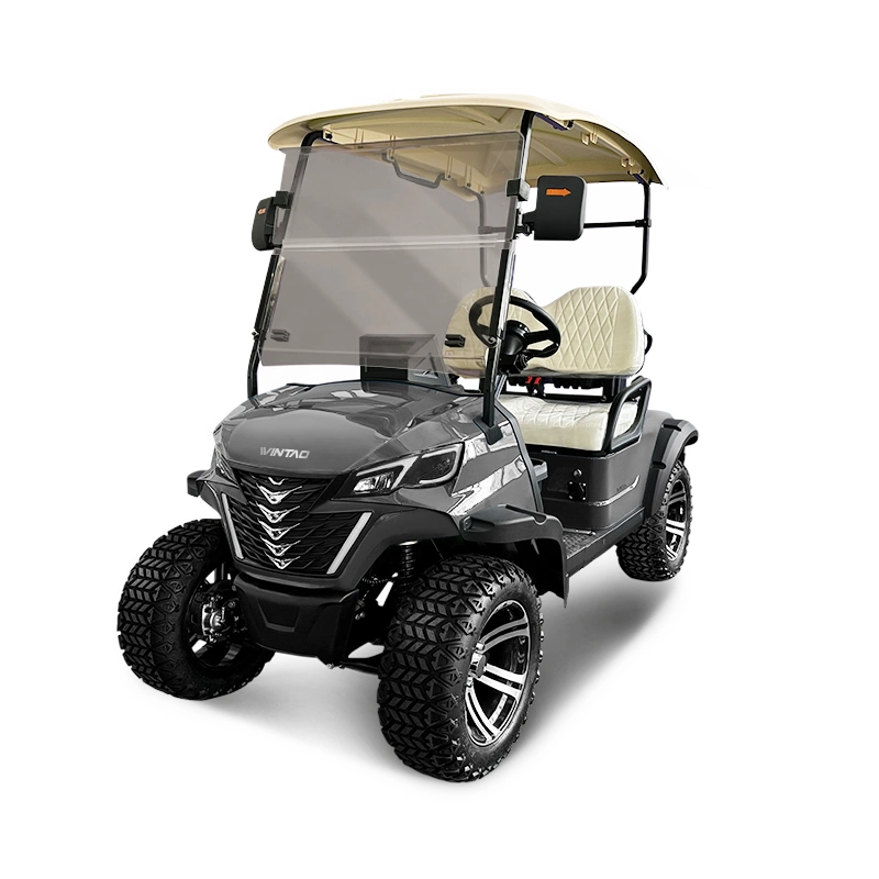 Wintao Customized Electric Golf Car for 2 Passenger Transport