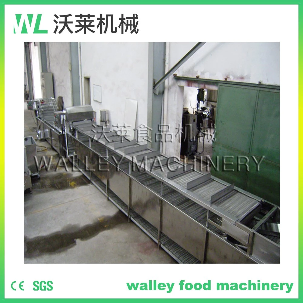 High Rebuy Stainless Steel Chain Belt Type Vegetables and Fruits Blanching Equipment