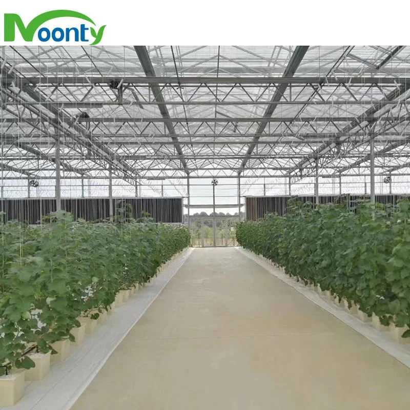 High quality/High cost performance  Water Culture Plastic Dutch Bucket Hydroponic System Factory Price