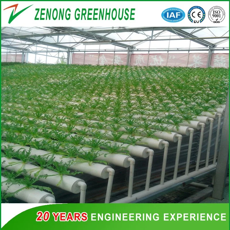 Agricultural/Commercial Glass Greenhouse for Hydroponics for Sale