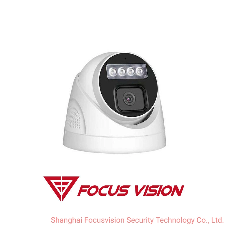 3MP 2.8/4/6/8mm Lens Human Detection Home Security Dual Light IR IP Fixed Turret Dome Network CCTV Camera