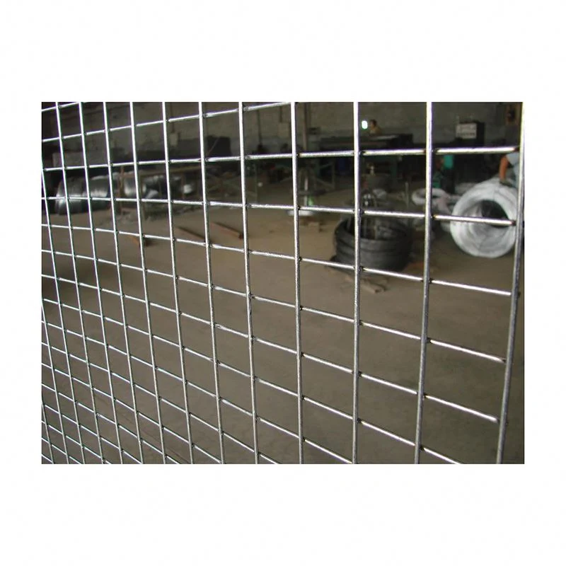 Welded Wire Mesh Stainless Steel Welded Wire Mesh for Fencing