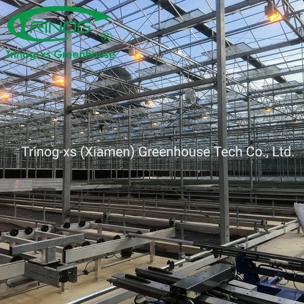 China Large Multi-span Commercial Galvanized Steel Pipe Structure Glass Greenhouse with Indoor Hydroponic System