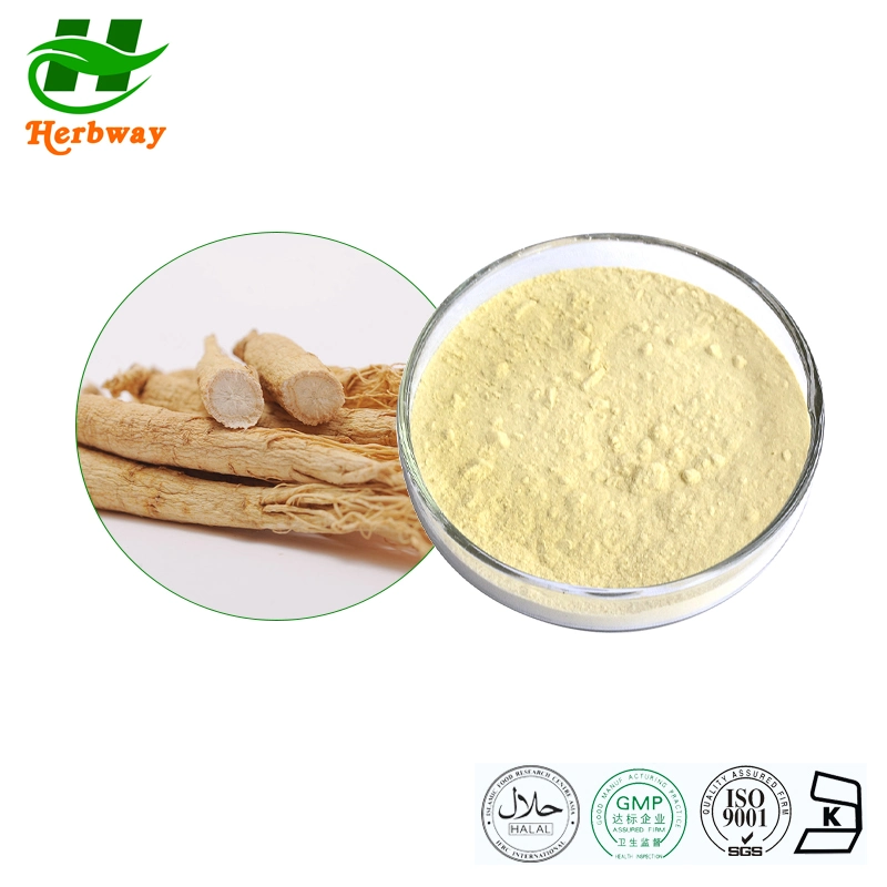 Herbway Wholesale/Supplier Price Ginseng Root Extract Panax Ginseng C. a. Mey. Extract Powder Enhance The Body's Resistance