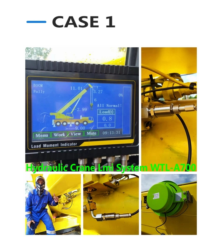 Equipo de la grúa con el tipo de sensor de presión hidráulica del sistema de control de LMI