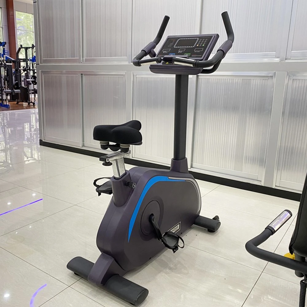 Luxus Cardio Maschine Kommerzielle Nutzung Aufrechte Fahrrad Tz-2030