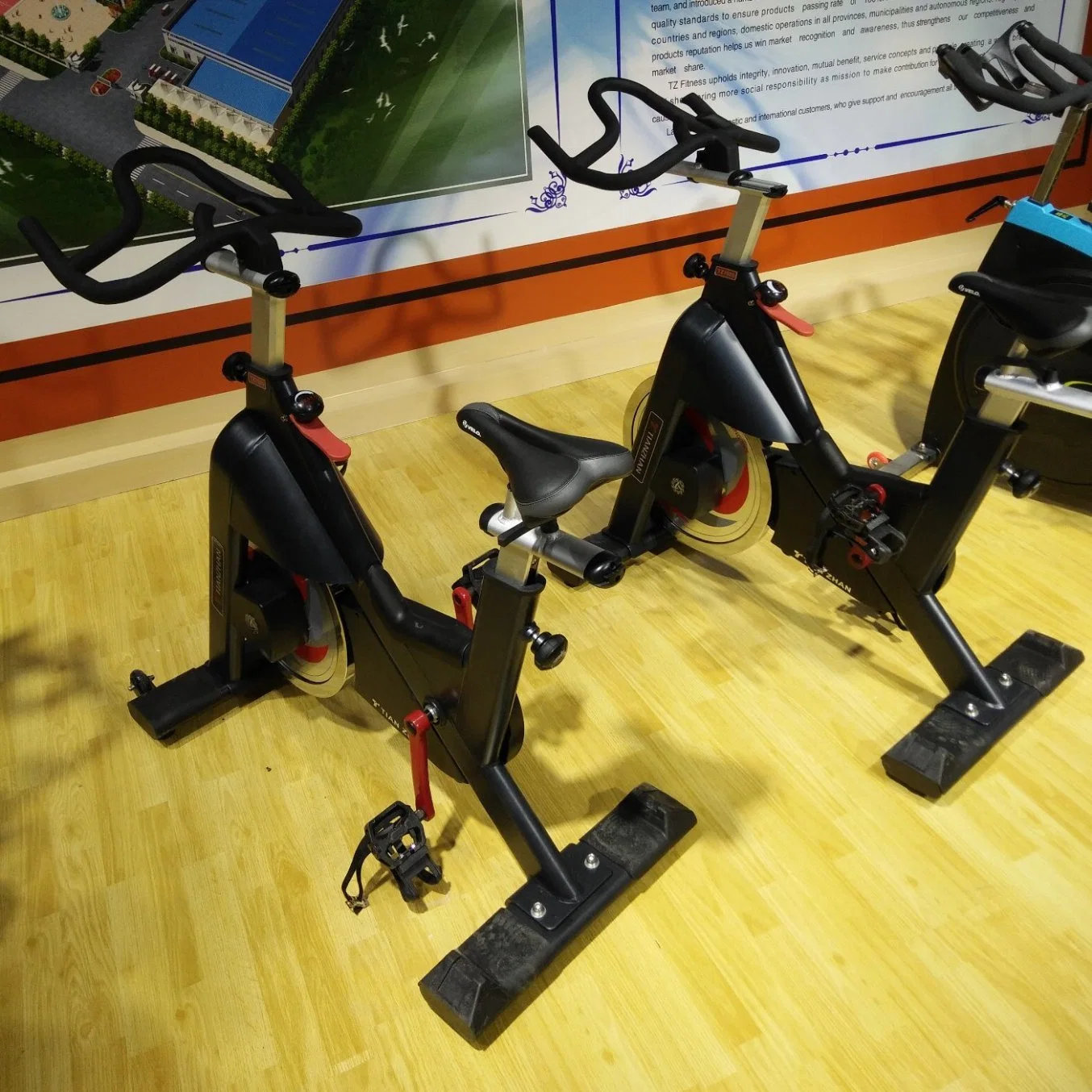 Leather Belt Tz Shandong Fitness Exercise Bike with CE