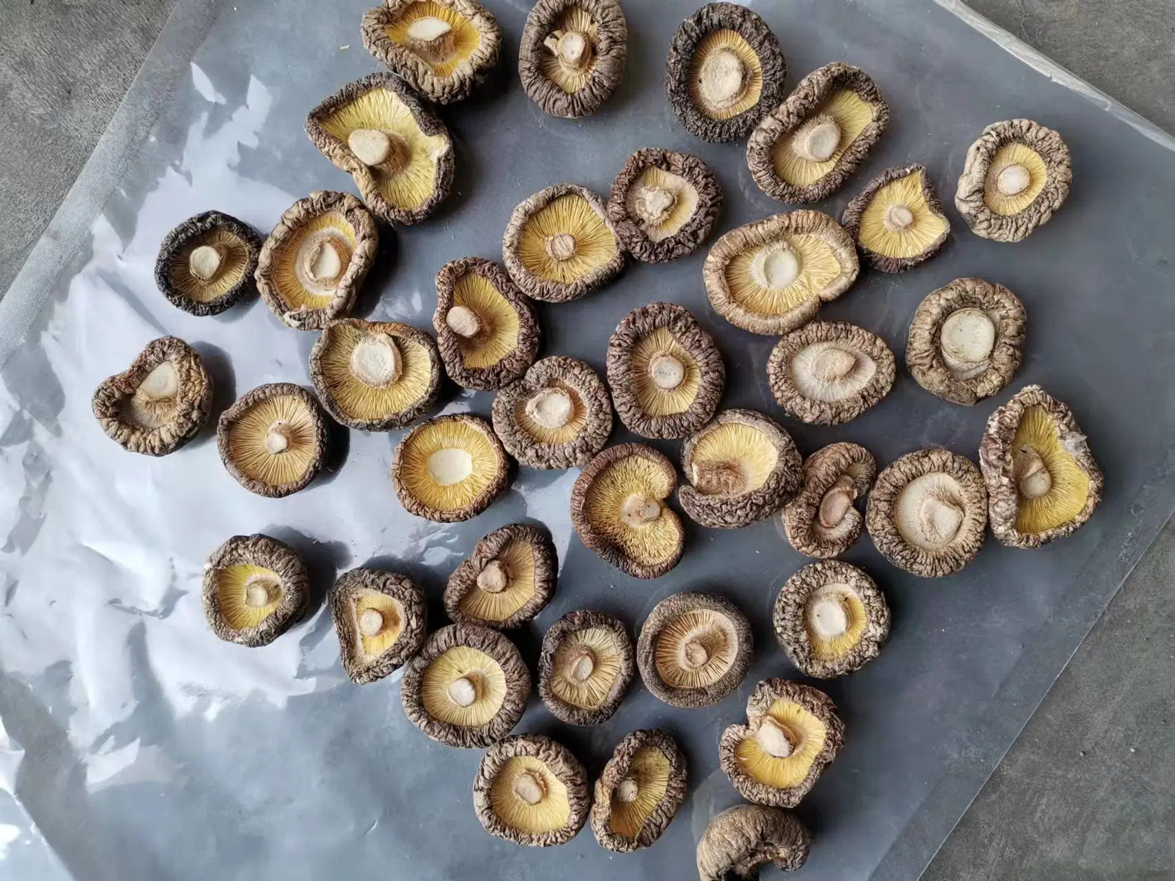 Prix de gros de champignons séchés séché chinois fine fleur blanche champignon shiitake