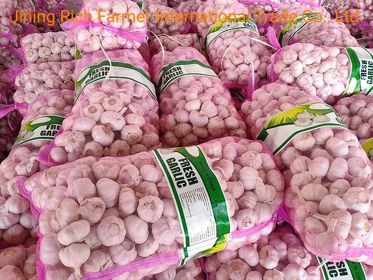 2022 China New Fresh Red Garlic Mesh Bag Packing in Bulk