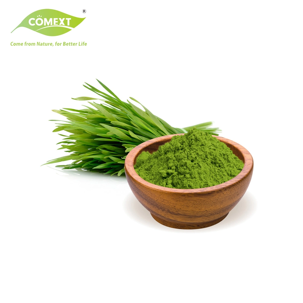 Comext ISO FSSC Halal Kosher Hersteller Kostenlose Probe Wheatgrass Pulver