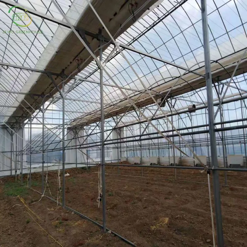 Estufa de filme de túnel de Greenhouses vegetais de Hydroponics rentável Verde Agrícola Casas para Venda