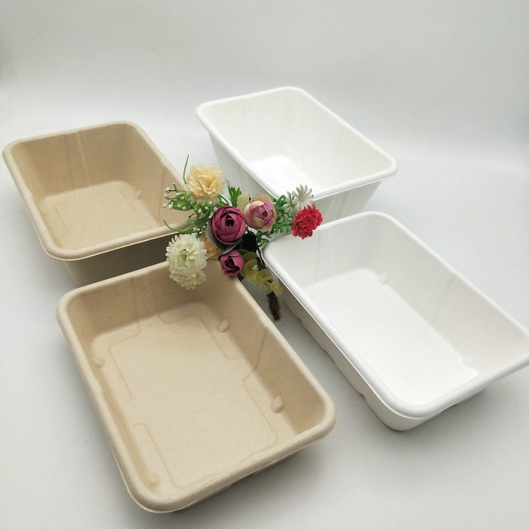 Disposable Degradable Biodegradable Food Packaging Tableware Lunch Box Sugarcane Bagasse Food with Lid 500ml 650ml Paper Tray