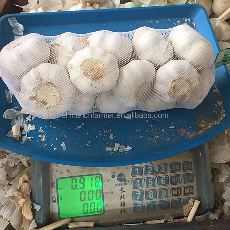 New Crop Pure White Garlic Normal White Garlic Export From China