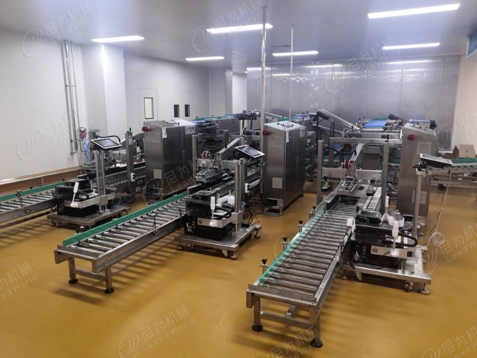 Automatic Case Packer Horizontal and Vertical Carton Bagged Meat Free Fall Packing Machine